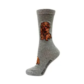 "Golden Retriever" Cotton Socks by Crazy Toes - Medium